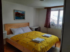 Aleksandar apartmani